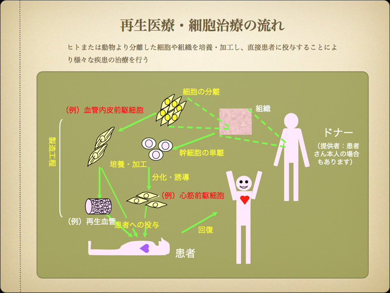 医療 再生