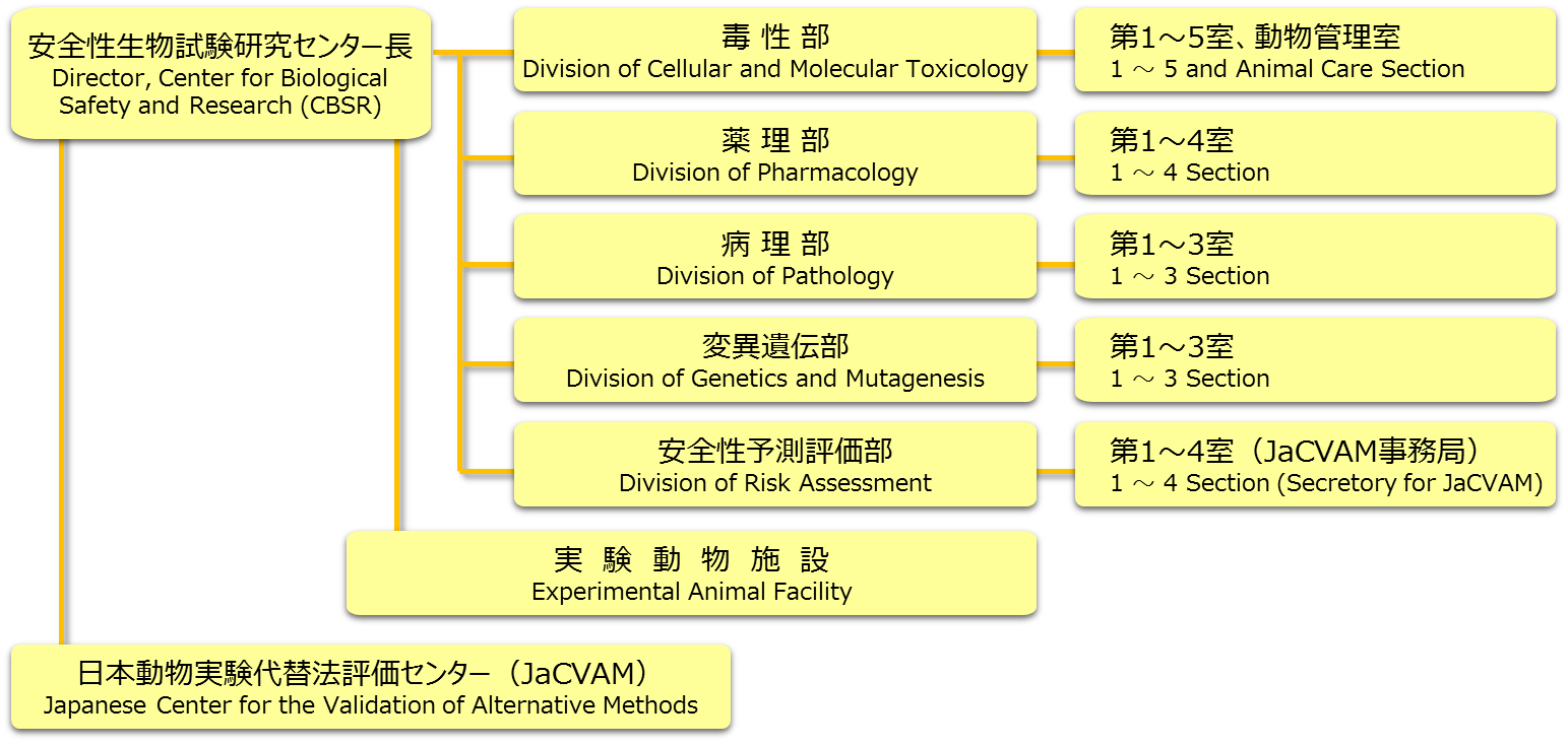 組織図