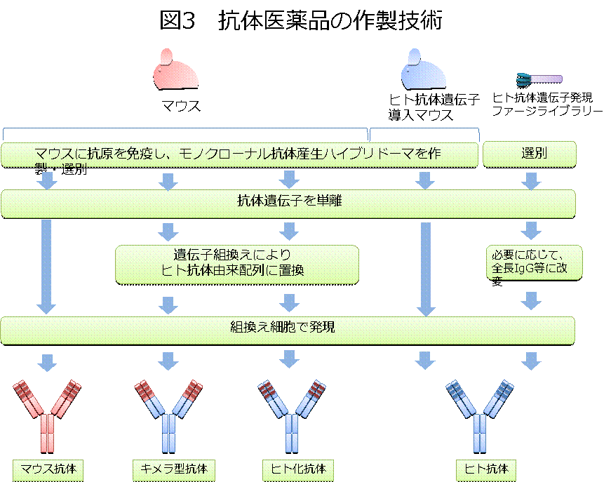 図3