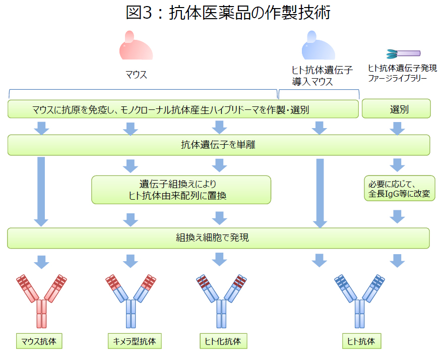 図3