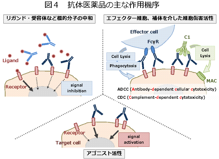 図4