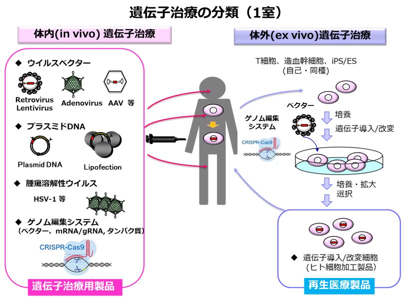 遺伝子治療の分類（1室）