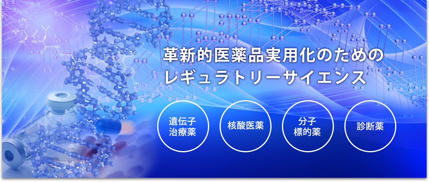 革新的医薬品実用化のためのレギュラトリーサイエンス 遺伝子治療薬 核酸医薬 分子標的薬 診断薬