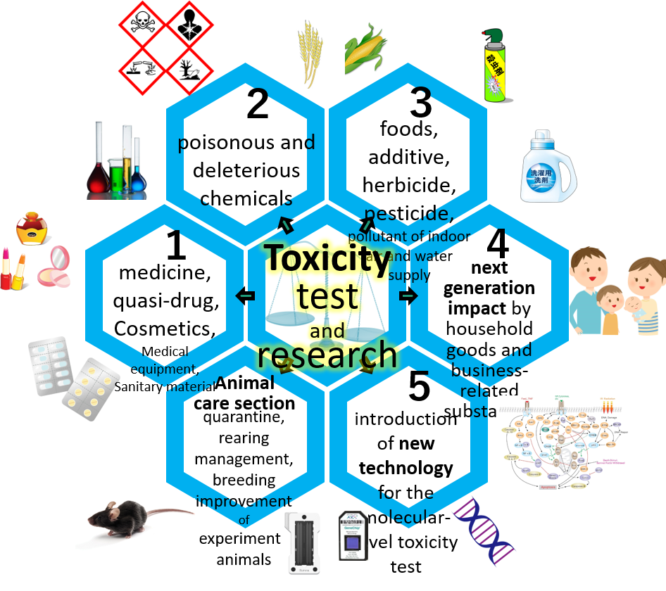 Organization of Div.Tox