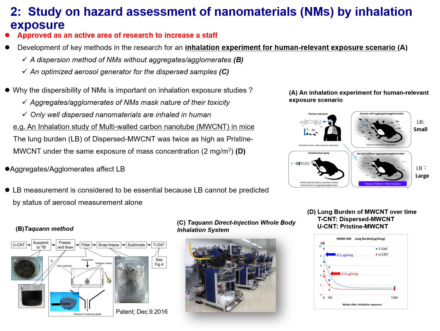 Hazard assessment of nanomaterials