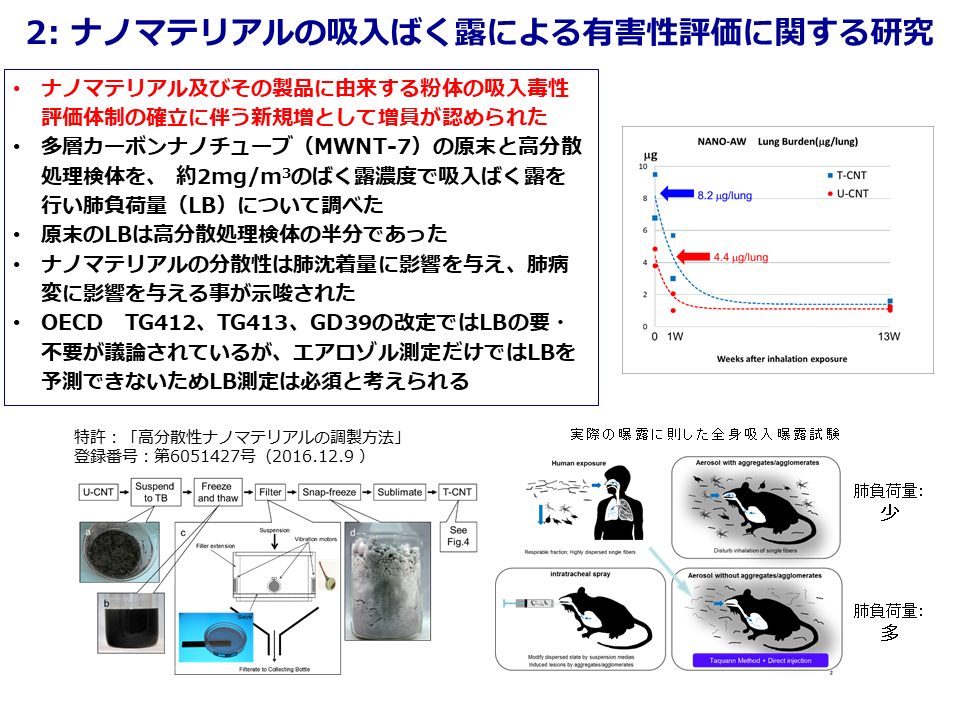 ナノマテリアル安全性評価研究概略図