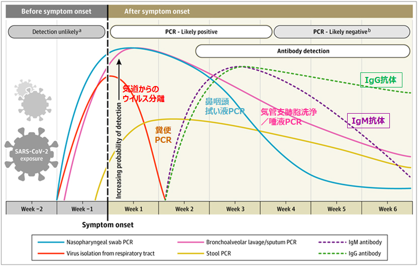 国立医薬品食品衛生研究所 生物薬品部