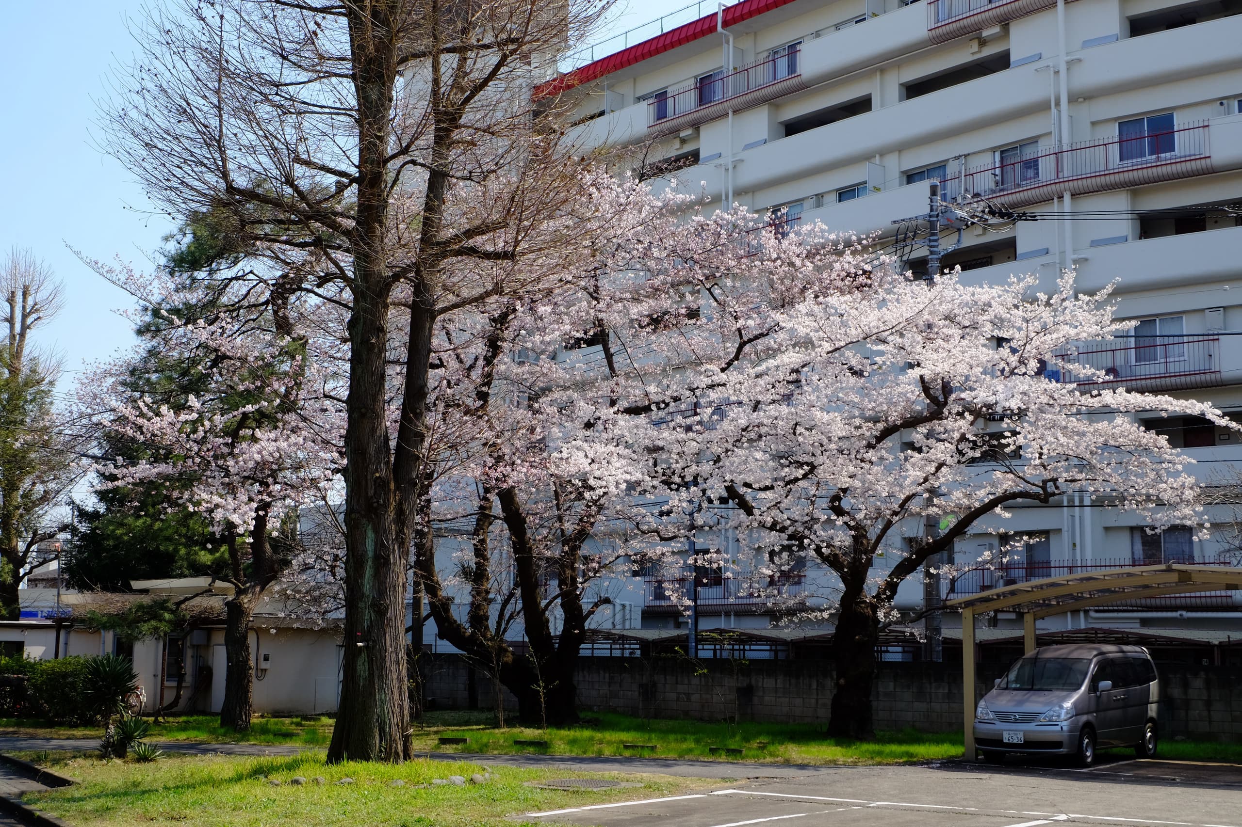 dscf2416.jpg