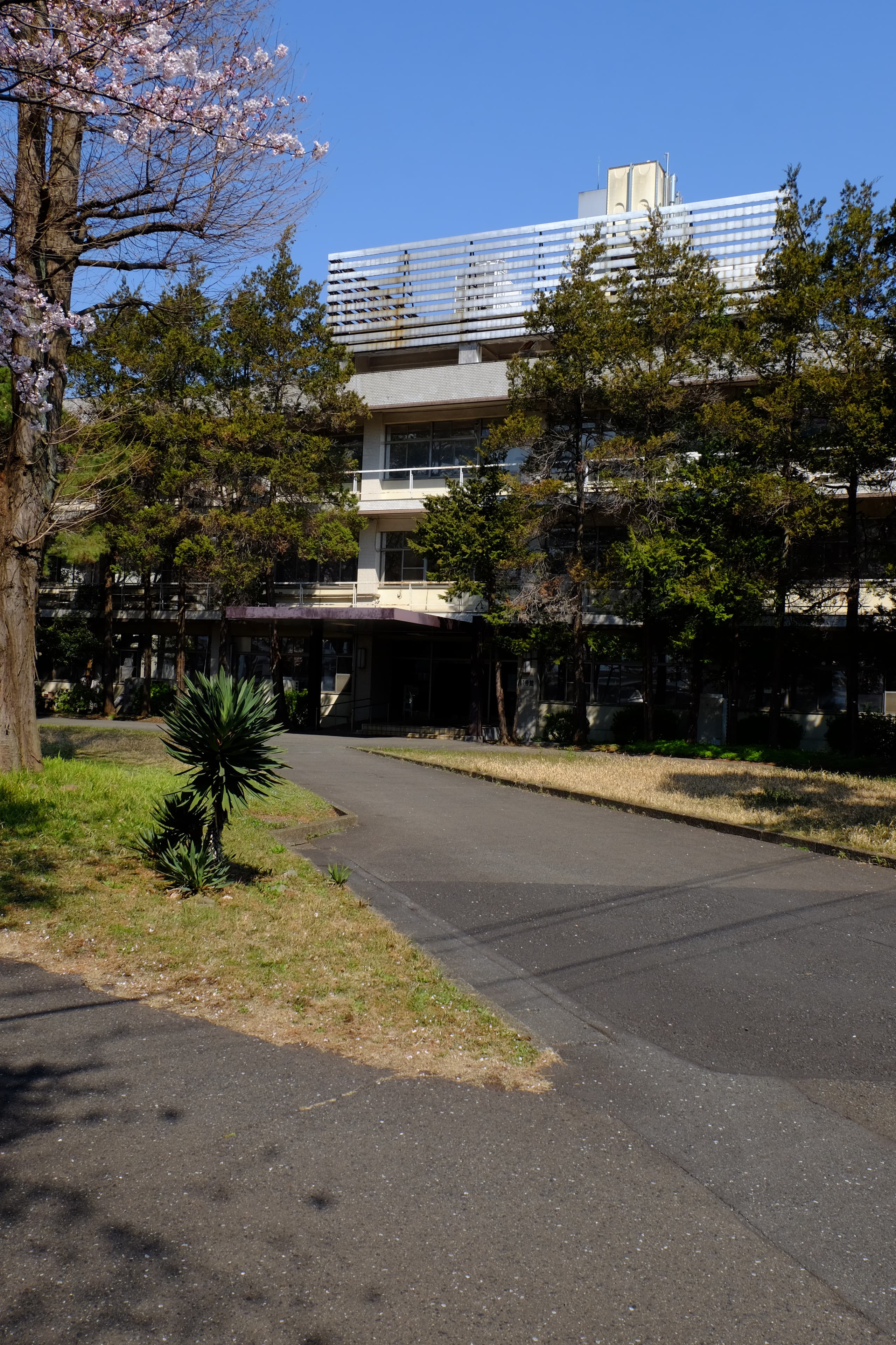 dscf2396.jpg