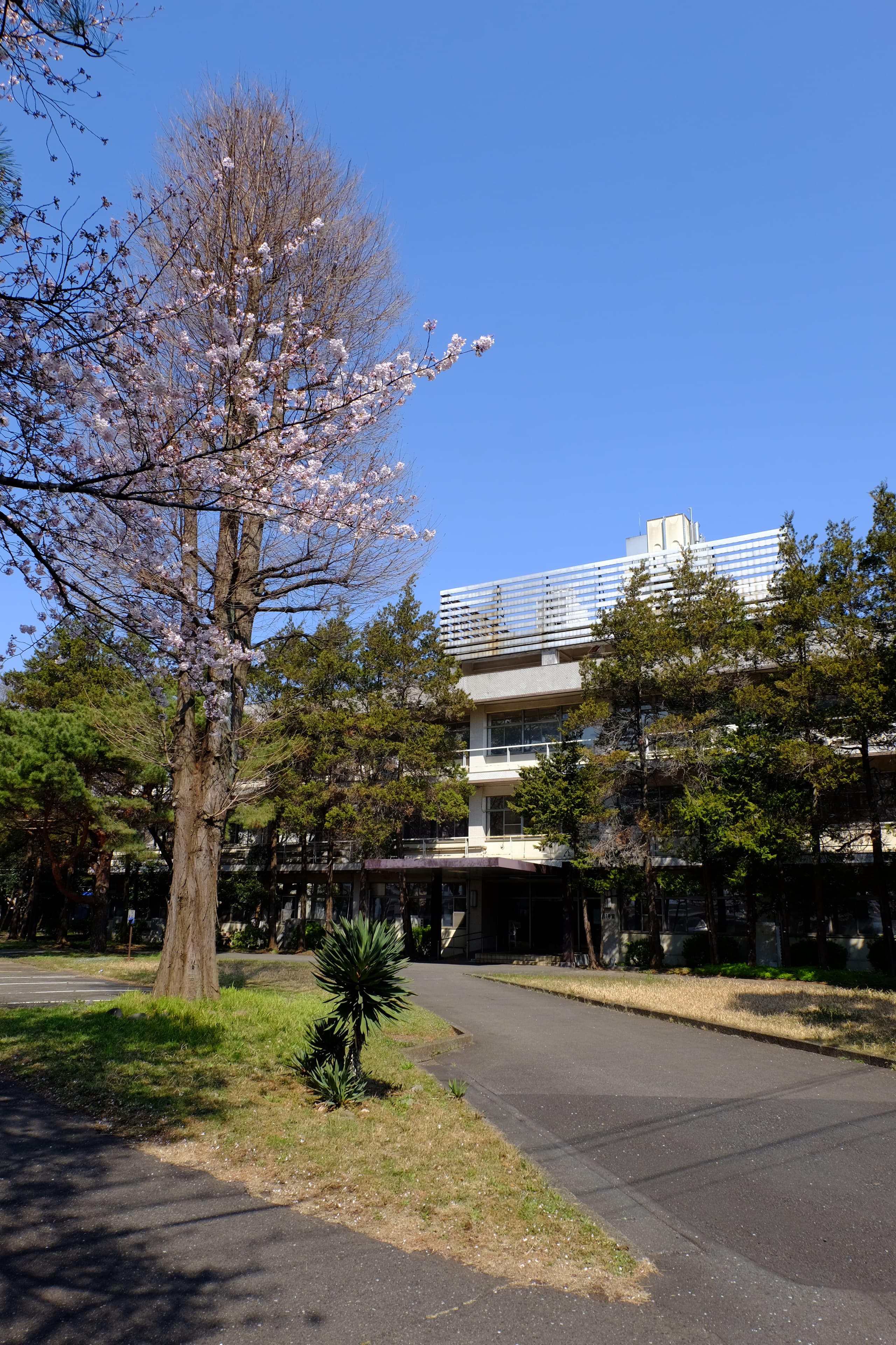 dscf2398.jpg