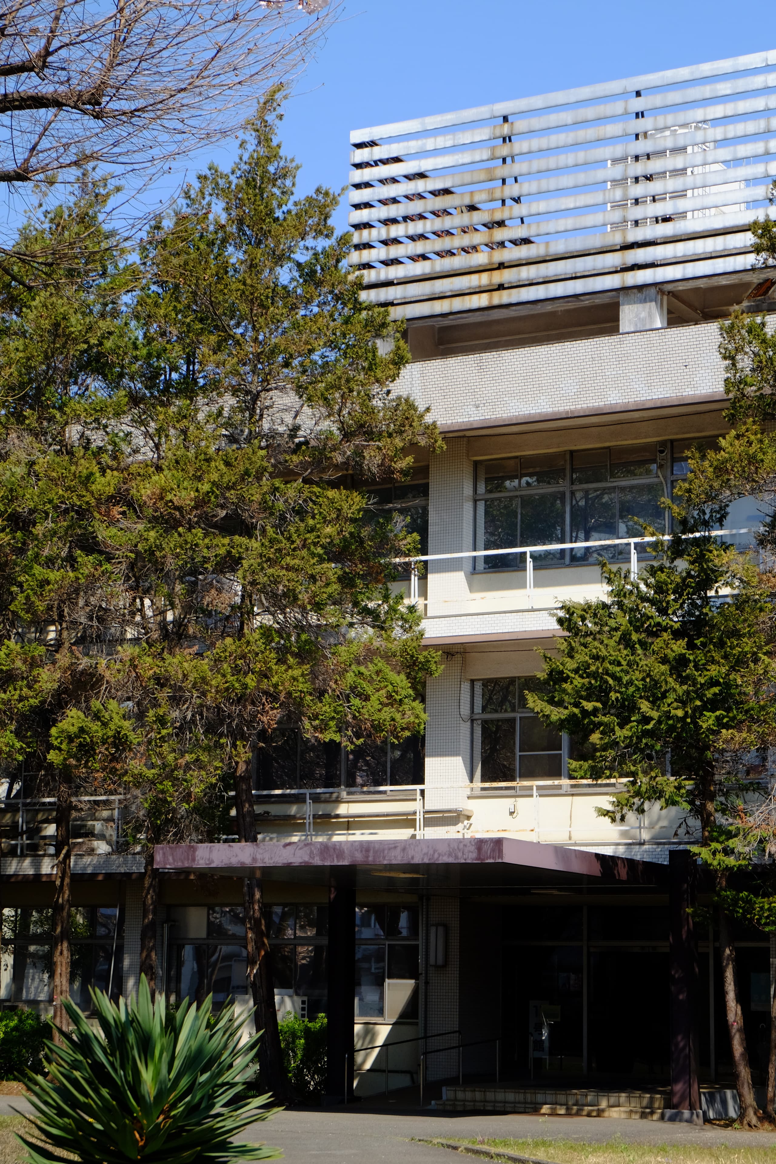 dscf2397.jpg