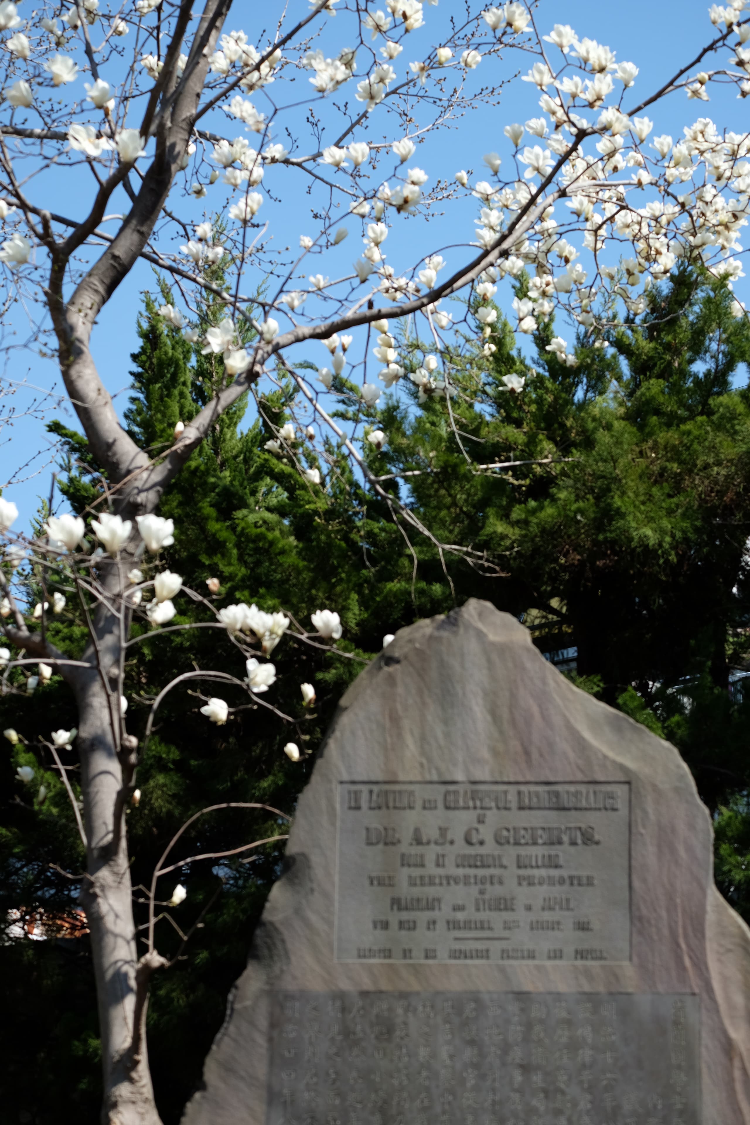 dscf0393.jpg