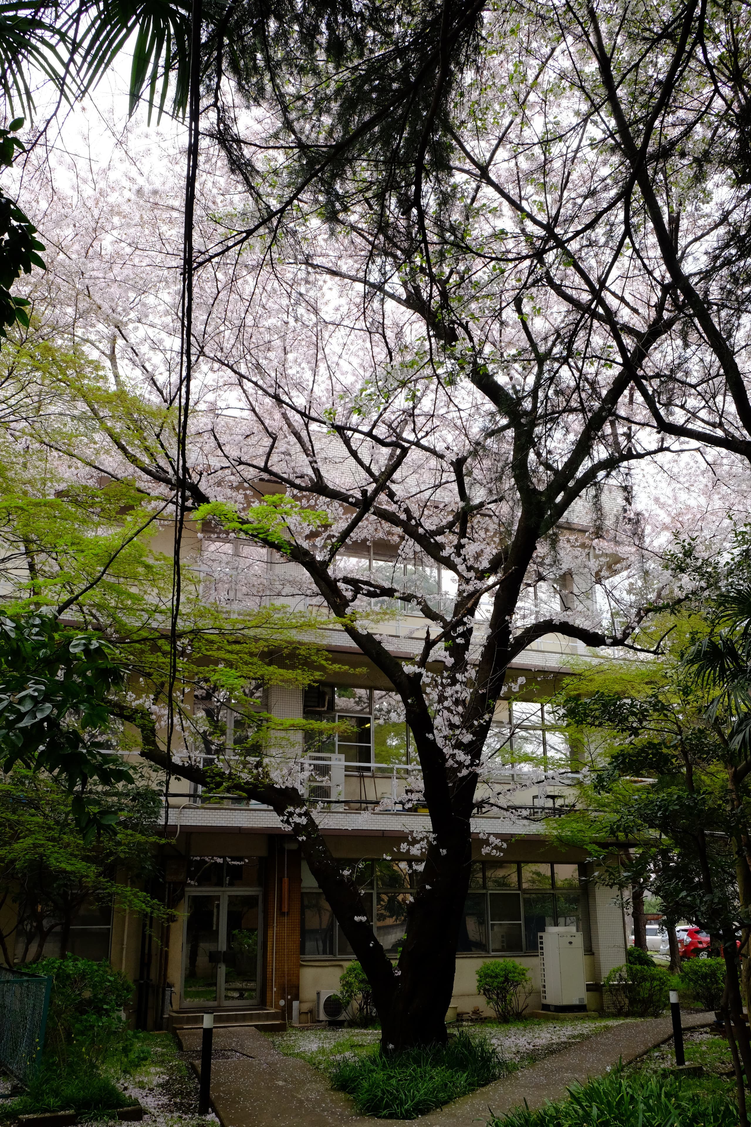dscf3494.jpg
