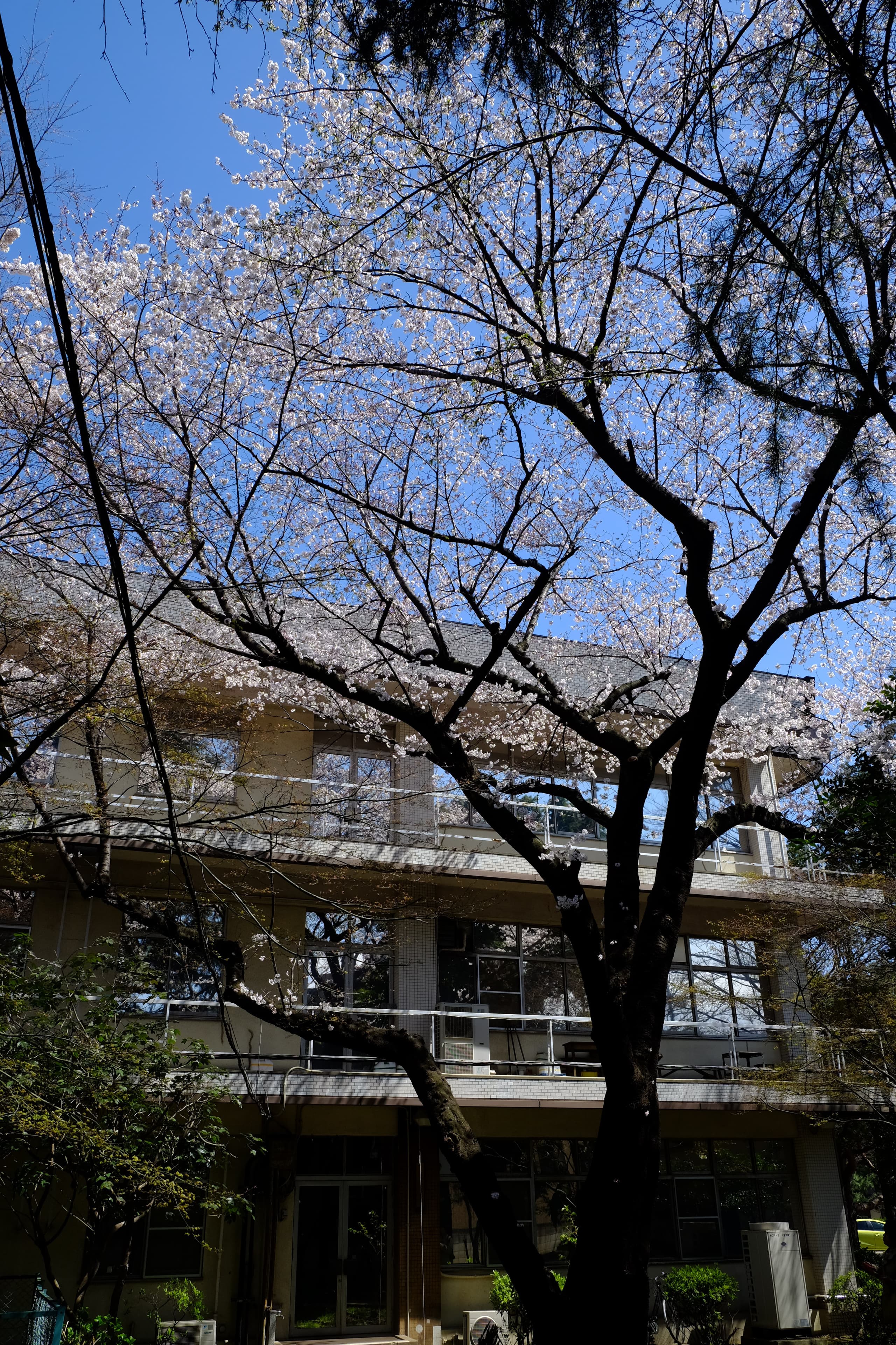 dscf8794.jpg