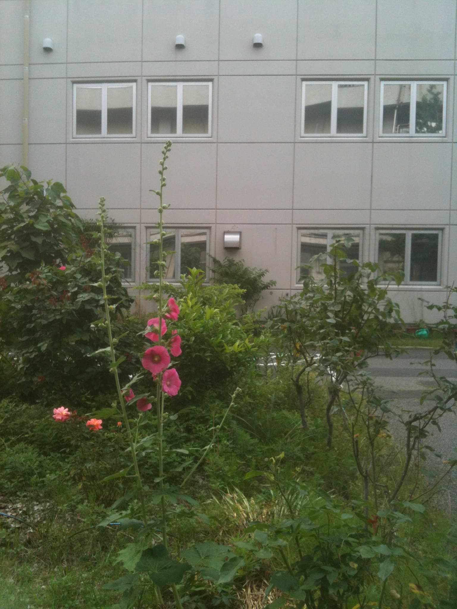img_1424.jpg