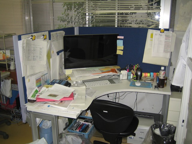img20240129172344274767.jpg