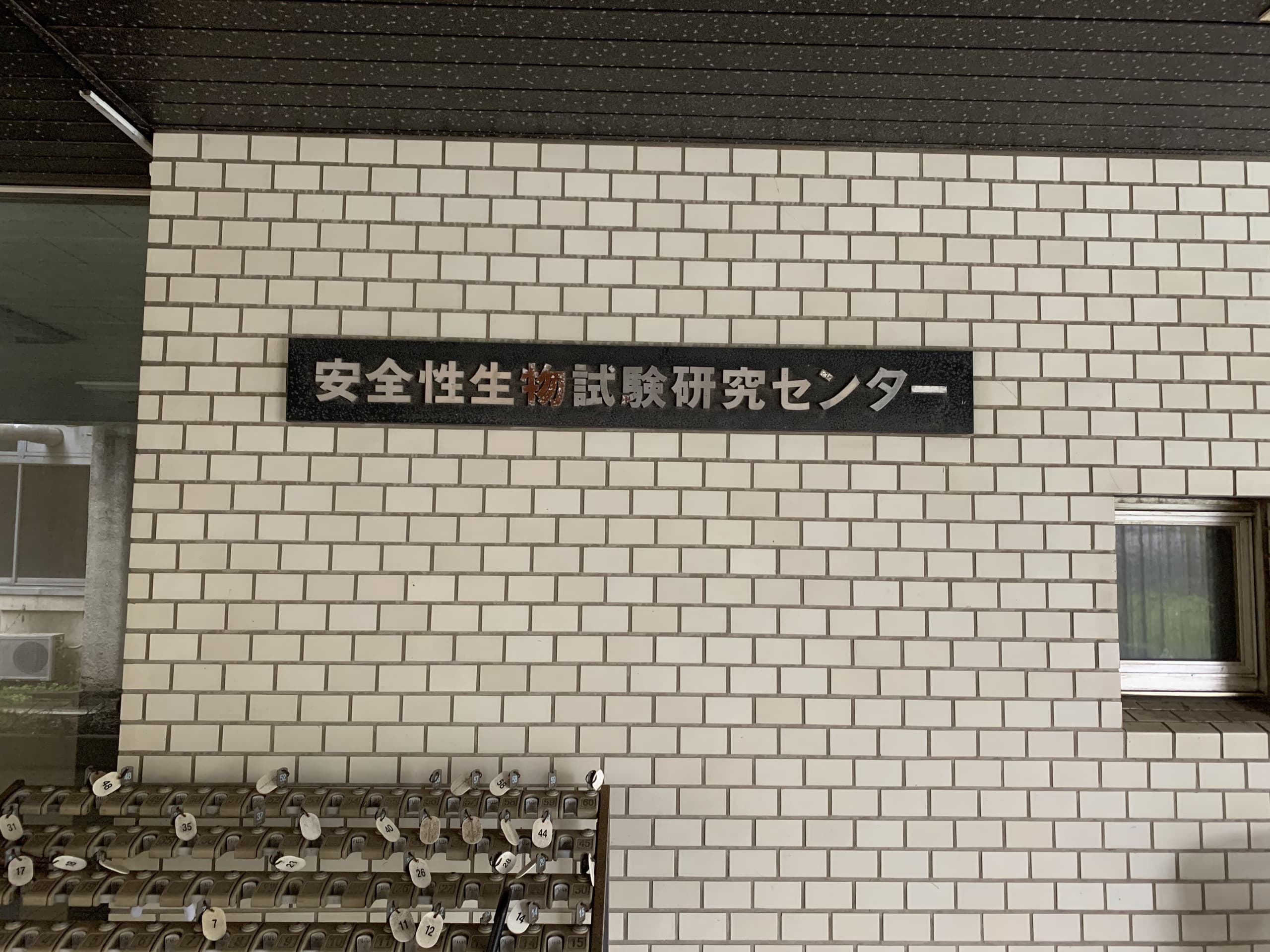 img20240829100306180493.jpg