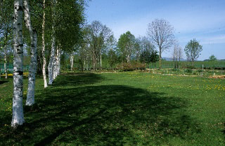 img20240829100305993447.jpg