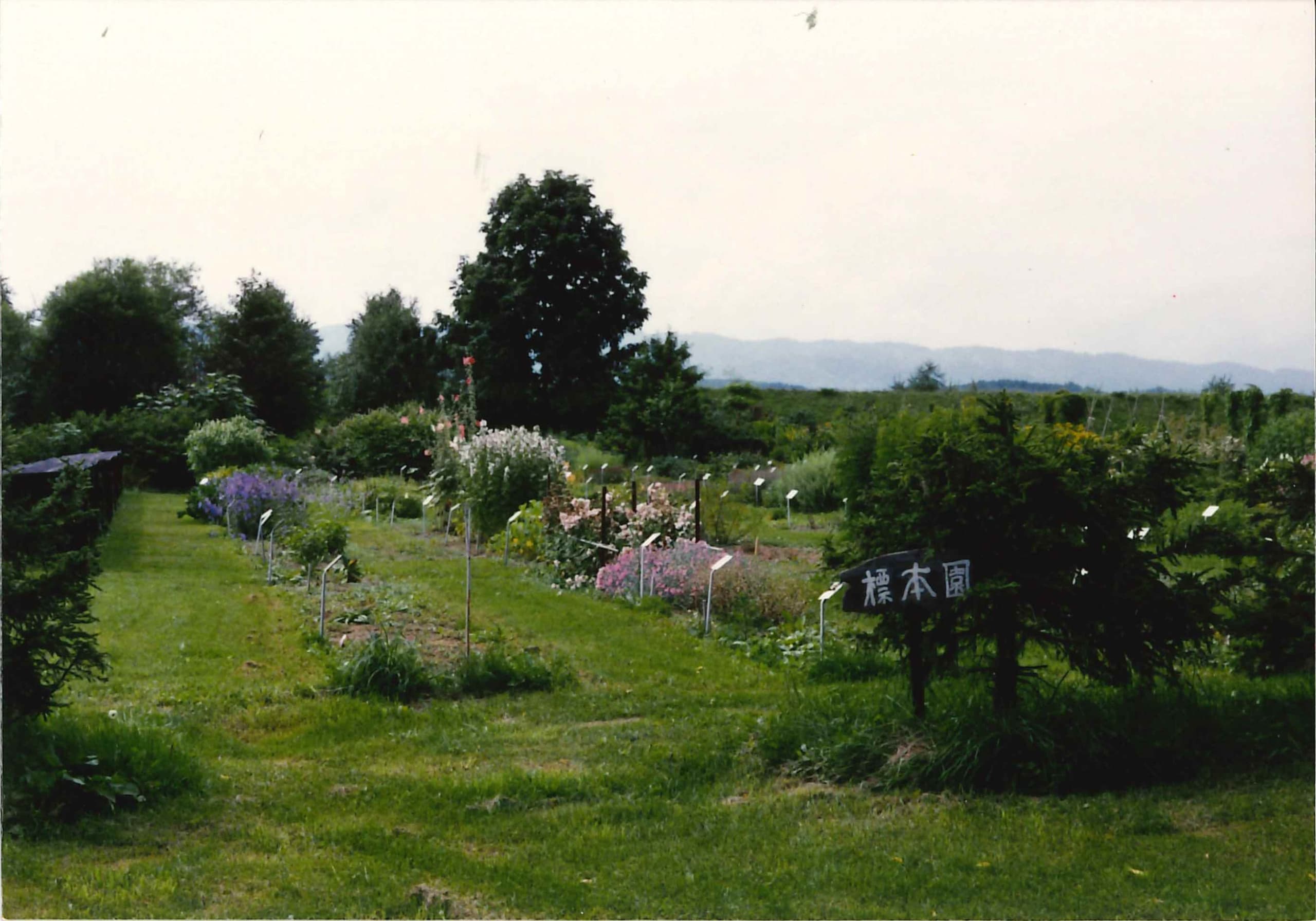 img20240829094726561705.jpg