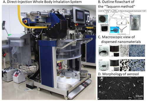 �V�f�ނ̈��S���]���F�i�m�}�e���A���̋z���Ő�����